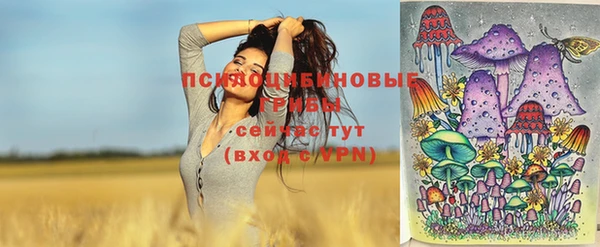Альфа ПВП Остров